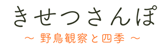 きせつさんぽ